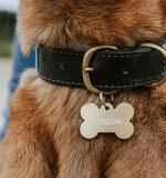 Aluminium hondenpenning – botvorm met lasergravure (40 x 27 mm)